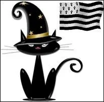 Le  Montagut  est un chat de lgende, il porteraient bonheur. Quelle est sa rputation ?