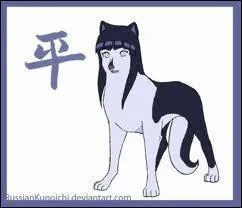 De quel manga vient ce personnage ?