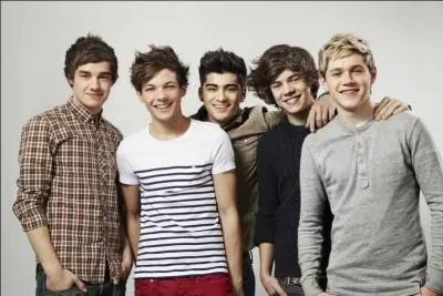 Ce boys band irrsistible a eu 2 prix aux NRJ Music Awards et a particip   The X Factor .