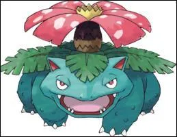 Quel est ce Pokmon ?