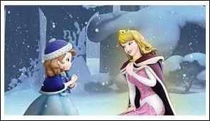 Qui est l'une des princesses que Sofia a rencontres ?