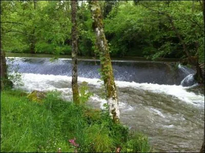 La Loire possde un affluent, qui, s'il ne se terminait par un  s , serait le mme que celui d'un grand fleuve franais. Lequel des trois est-ce ?