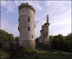 Les habitants de Bourges connaissent, en priphrie de la ville, le donjon de Mehun, o est mort Charles VII. Quelle rivire traverse cette localit ?