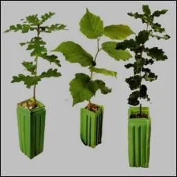 Nous, les ----------, sommes prcieux et mettrons environ quatre ans avant de vous offrir si vous le mritez des --------.