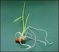 Toujours les pieds dans l'eau pour moi, je vous le demande !