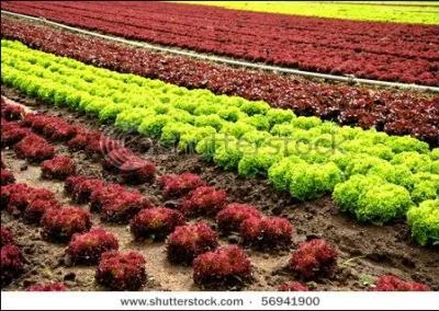 Nous allons bien ensemble et composons un tableau excut de main de matre.