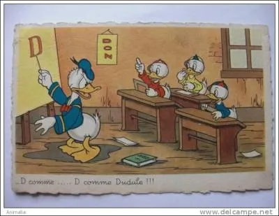 L'cole lmentaire en France comprend cinq niveaux : CP - CE1 - CE2 - CM1 - CM2, mais galement des CLIN et des CLIS.