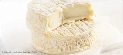 Nous avons le choix entre un Saint-Flicien et un Saint Marcellin, mais quelle est la diffrence principale ?