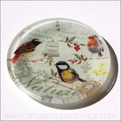 Ceux qui prfrent pourront manger une escalope viennoise :