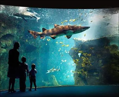 Avec une surface de 8 500 m2, il expose plus de 12 000 animaux de 600 espces diffrentes qui se rpartissent dans les 3 millions de litres d'eau de mer des 75 aquariums diffrents. Dans quel quartier de la ville est situ cet aquarium priv ?