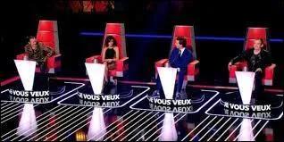 De quelle mission s'agit-il ?