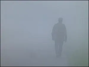 Dans quel livre d'Albert Camus rencontre-t-on Meursault ?