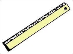 Quelle est la taille de ces membranes chez les hommes ?