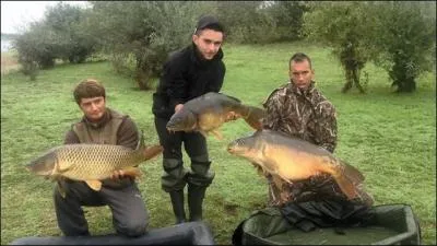 Elle provoque un engouement norme en Europe, en France, elle atteint des tailles record, du coup elle fait le bonheur des marchands d'articles de pche !