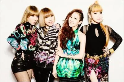 De qui est la chanson   I am the best   ?