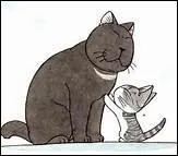 Comment s'appelle l'ancien ami de Chi ?