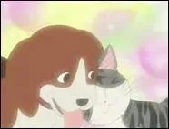 Comment s'appelle le nouvel ami de Chi ?