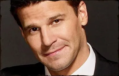 C'est Seeley Booth, dans quelle srie apparat-il ?