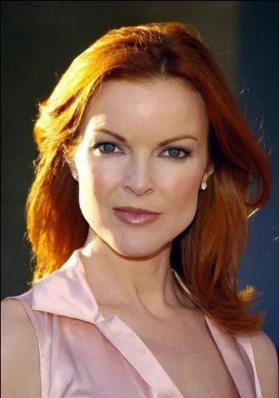 Voil Bree Van de Kamp, dans quelle srie apparat-elle ?