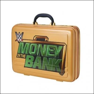 Celui-ci s'appelle :