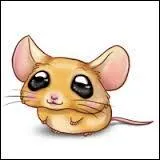 Qu'est-ce sur Cromimi ?