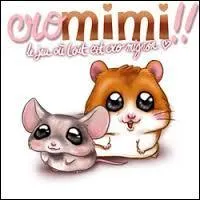 Sur Cromimi, on peut personnaliser...