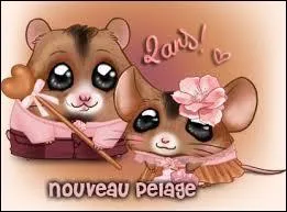 Trouve un modrateur dans cette liste.