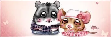 Les crateurs de Cromimi sont soutenus par l'entreprise...