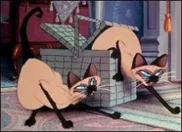 Dans quel film le couple de siamois Si et Am sme-t-il la panique dans la maison de la famille Darling ?