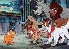 Dans quel film un chaton abandonn trouve-t-il du rconfort auprs d'une bande de chiens errants ?