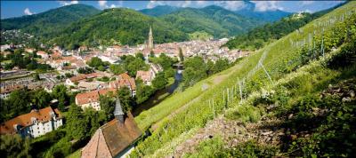 Combien de dpartements composent l'Alsace ?