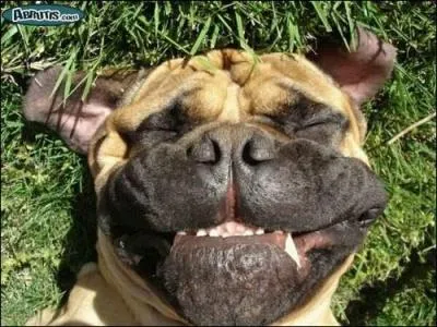 Proverbe anonyme : Vous n'tes pas responsable de la tte que vous avez mais ...