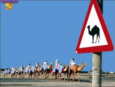 Une citation de Coluche : Parce que Dieu il sait, au fond de lui-mme, que Jsus crie ...