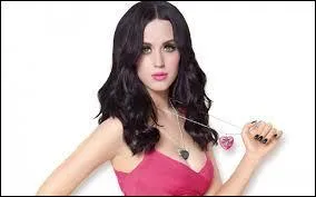 Qui est ce ou cette chanteur ou chanteuse ?