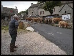 Les Salces est une commune Lozrienne situe en rgion ...