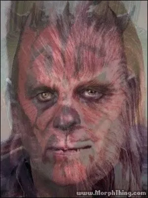 Mais, ce sont des personnages de  Stars Wars  ! Qui sont-ils ?