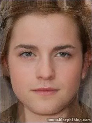 De quel saga proviennent ces personnages ?