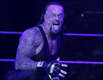 Qui a mis un terme  la carrire d'Undertaker  WrestleMania ?