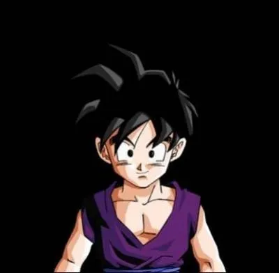 Cochez la/les bonne(s) information(s) sur ce personnage de  Dragon Ball  !