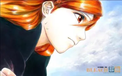 Cochez la/les bonne(s) information(s) sur ce personnage de  Bleach  ! (attention  l'orthographe)