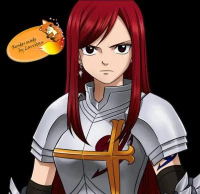 Cochez la/les bonne(s) information(s) sur ce personnage de  Fairy Tail  !
