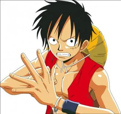 Cochez la/les bonne(s) information(s) sur ce personnage de  One Piece  !