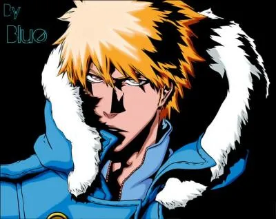 Cochez la/les bonne(s) information(s) sur ce personnage de  Bleach  !