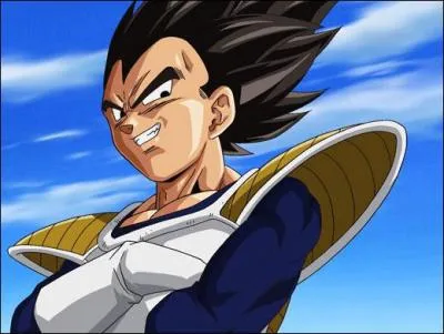 Qui est ce personnage appartenant au manga  Dragon Ball  ?