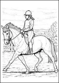 De quel ct monte-t-on  cheval ?