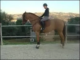 Pour arrter ou ralentir, les mains...