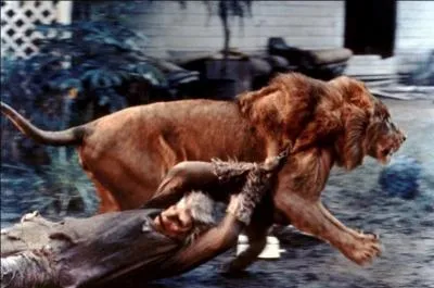 Ne pas marcher  quatre pattes, telle est la loi, ne pas chasser les autres hommes, telle est la loi ! Ne sommes-nous pas des hommes ?