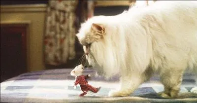 Franchement, il y a des jours o jouer au chat et  la souris devient fatigant !