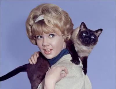 Pour trouver ce titre, allez-y en douceur, sur la pointe des pieds !