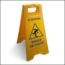 Compltez ces paroles :  Quelque chose vient de tomber...  .